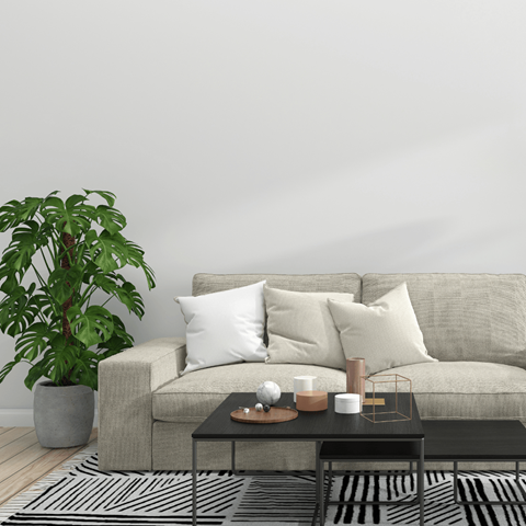 a living room with a couch and a coffee table and a plant